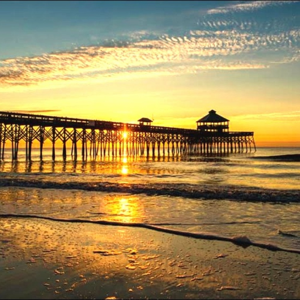 Meet your Posher, Annette